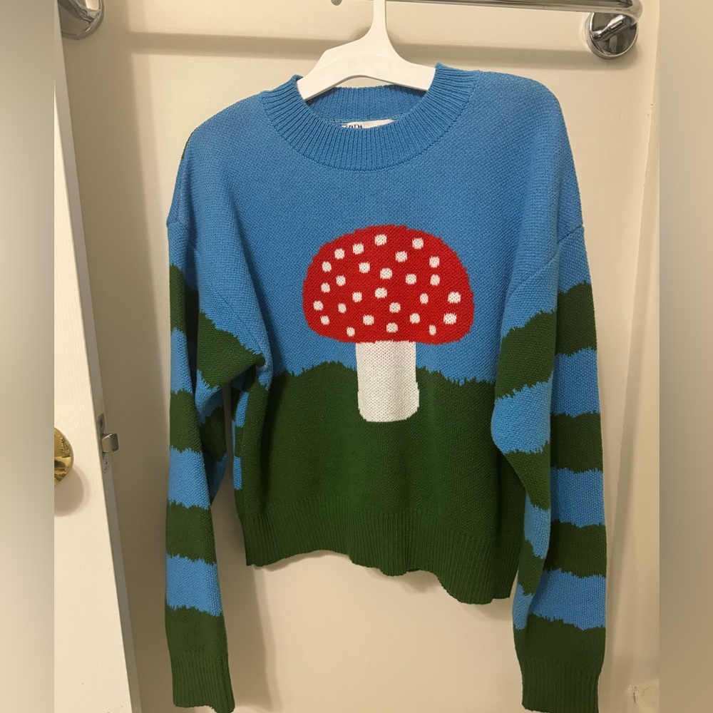 Zara Mushroom Sweater
